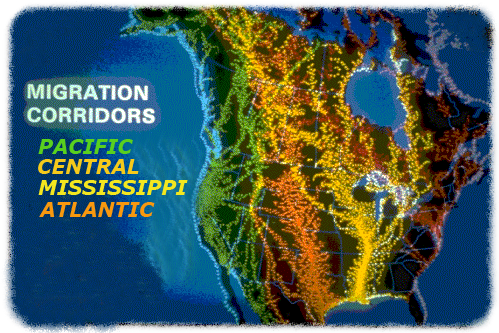 Migration Pathways