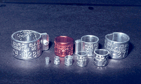 Bird Bands in a Variety of Sizes and Types