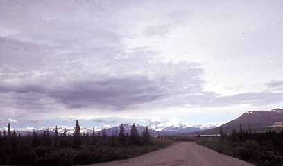 Denali highway on the Maclaren, AK BBS route (03011) supplied by N. DeWitt (2001).