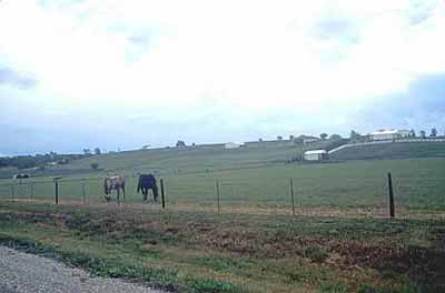 Below: Gretna, Nebraska BBS route - Horse pasture (2000)