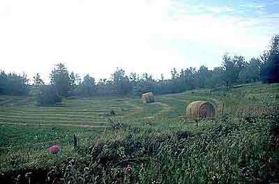 Below: another view along the Gretna, Nebraska BBS route - Hay field with bales (2000)